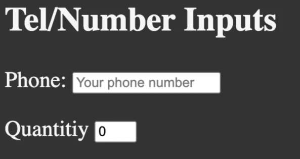 Tel/number input